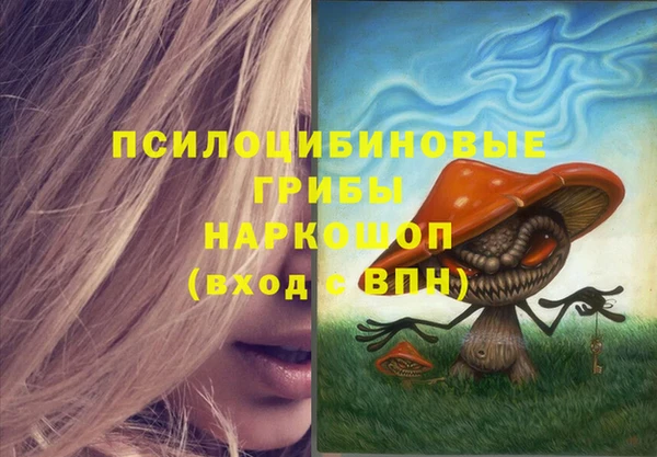 ГАЛЛЮЦИНОГЕННЫЕ ГРИБЫ Абинск
