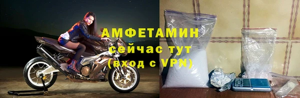 прущие грибы Абаза