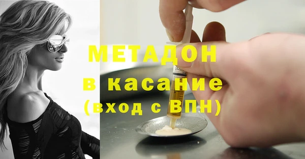прущие грибы Абаза