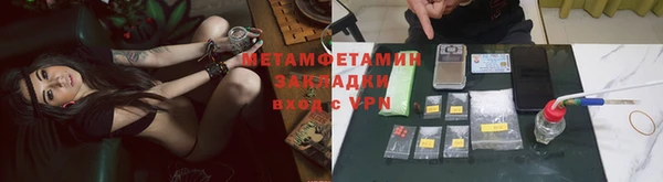 прущие грибы Абаза
