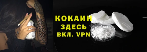 прущие грибы Абаза