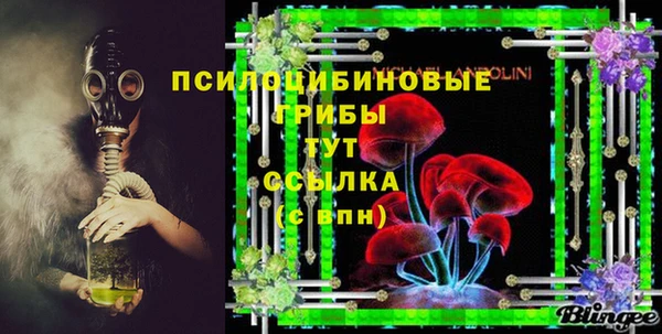 ГАЛЛЮЦИНОГЕННЫЕ ГРИБЫ Абинск
