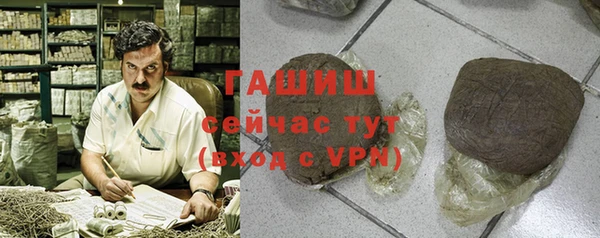 прущие грибы Абаза