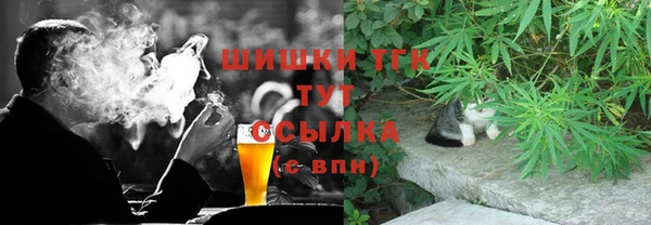 прущие грибы Абаза