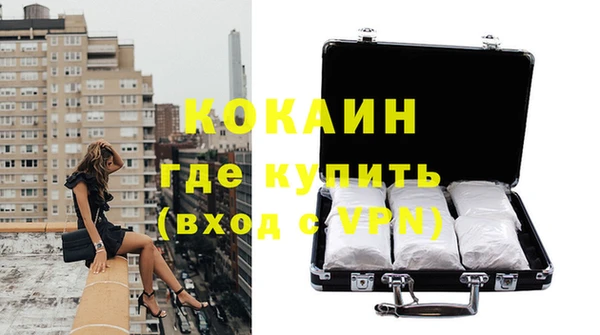 прущие грибы Абаза