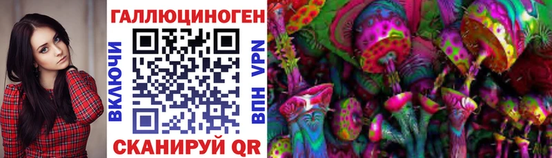 Псилоцибиновые грибы GOLDEN TEACHER  Щёкино 