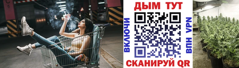 Конопля ГИДРОПОН  хочу   Щёкино 
